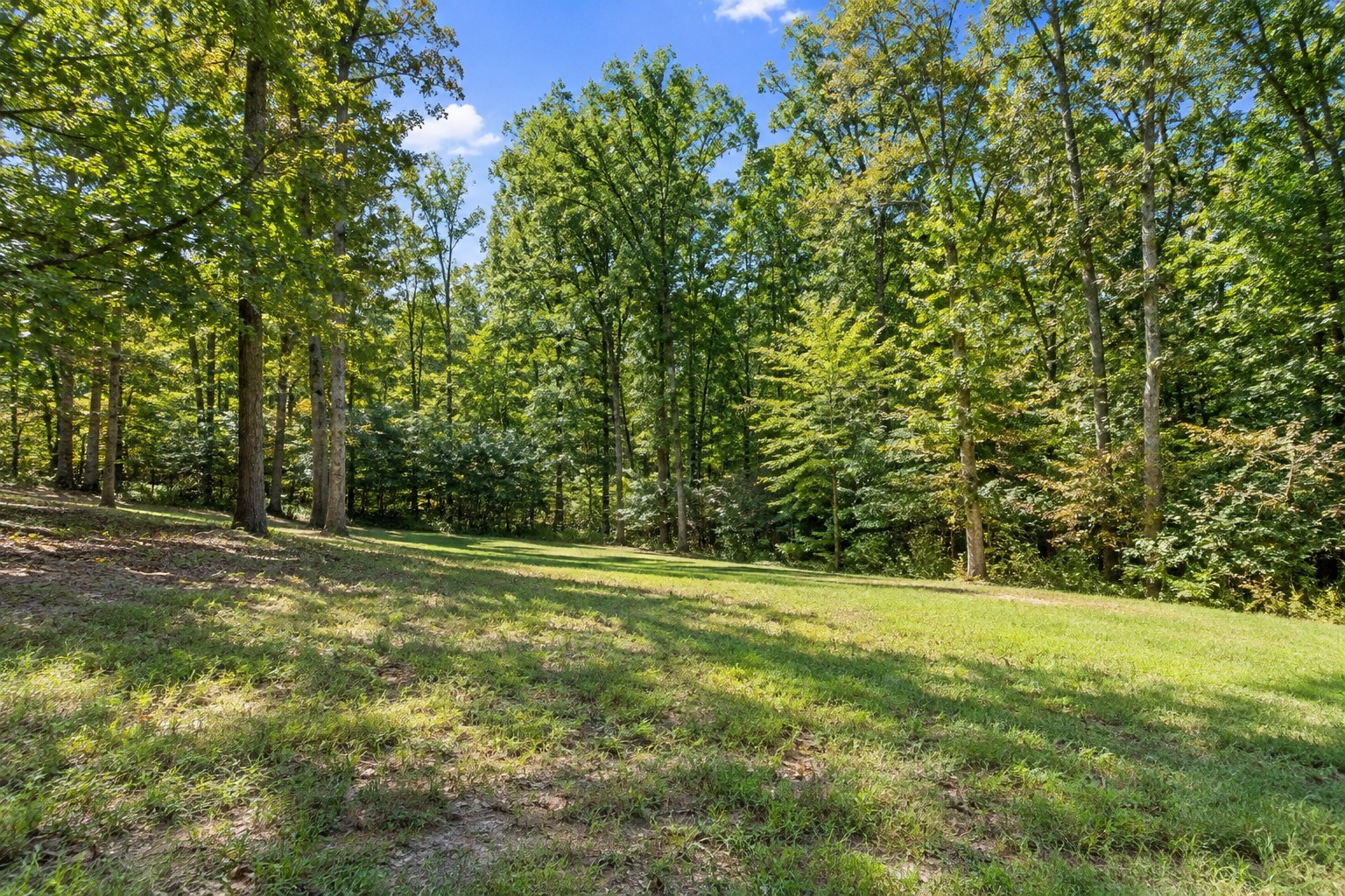 Tree Clearing, Forest Conservation, and Your Building Plans